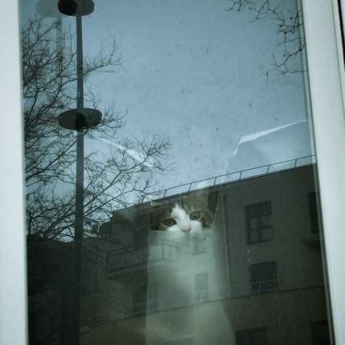 Photo #11972277
