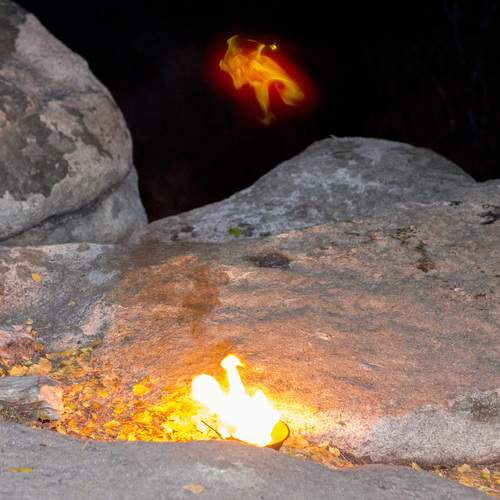 Photo #11972291
