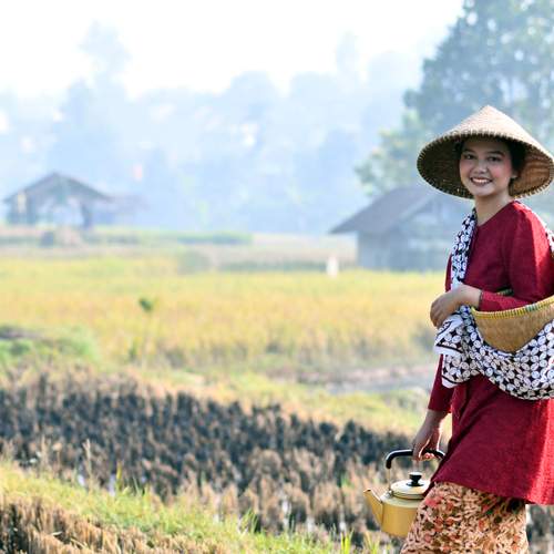 Фотография #11972320