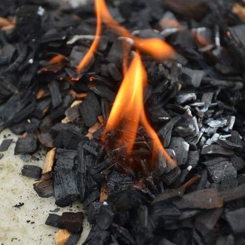 Photo #11972440
