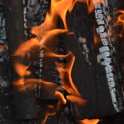 Photo #11972469