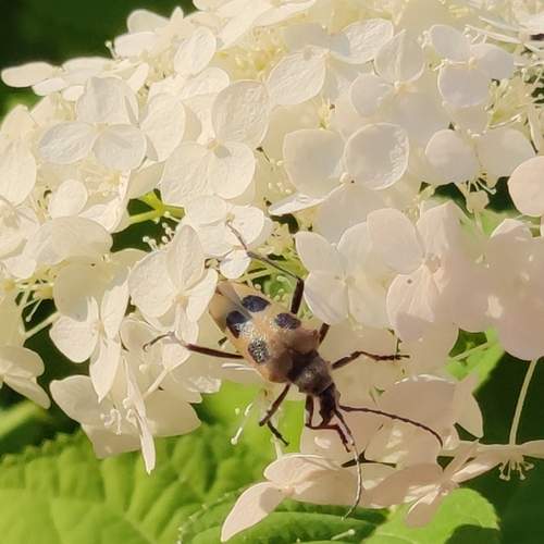 Photo #11972697