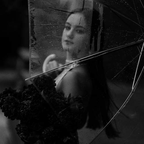Photo #11972766