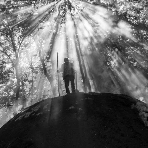 Фотография #11972815