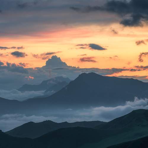 Photo #11972836