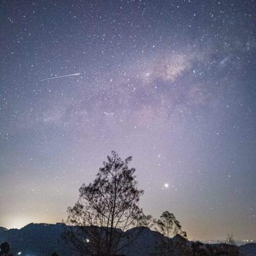 Photo #11973391