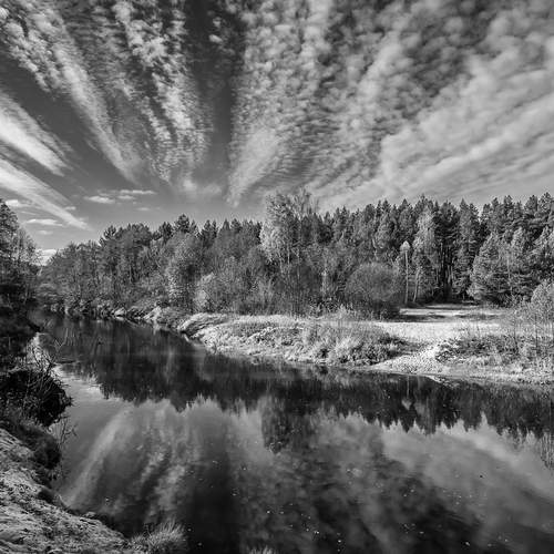 Photo #11973398