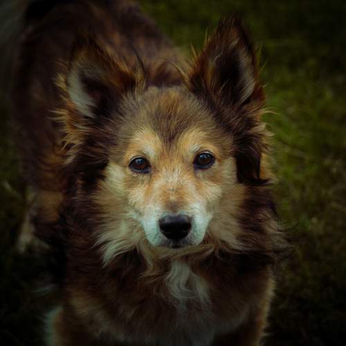 Photo #11973418