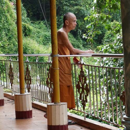 Фотография #11973528