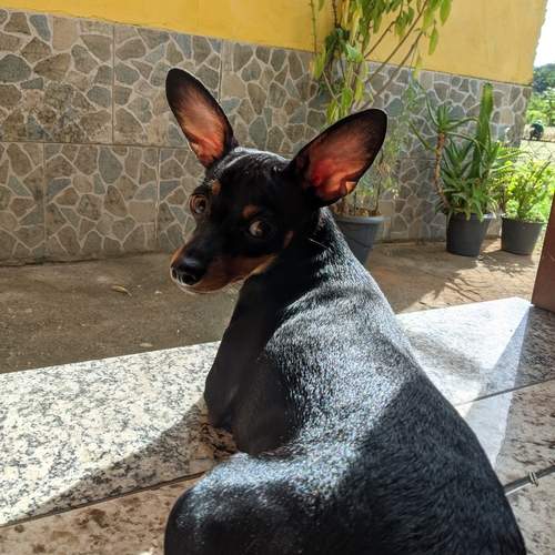 Photo #11973827