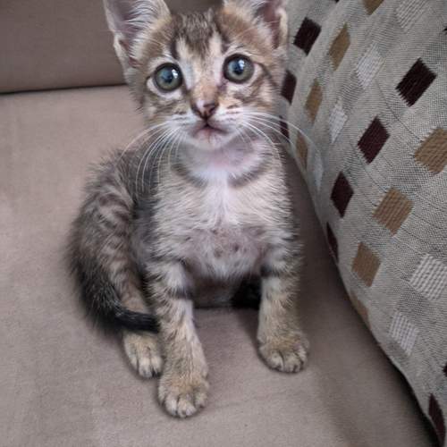 Photo #11973832