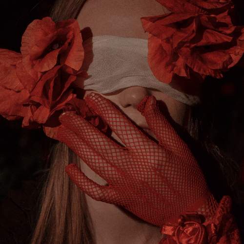 Photo #11973898