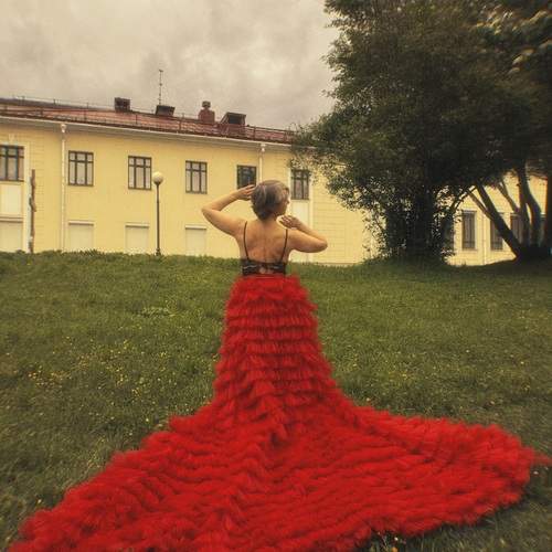 Photo #11973928