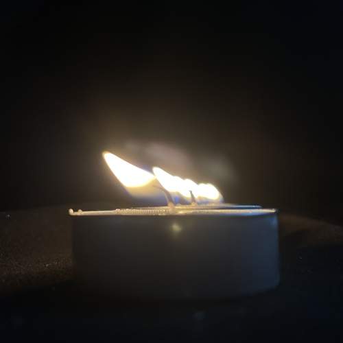Photo #11973946