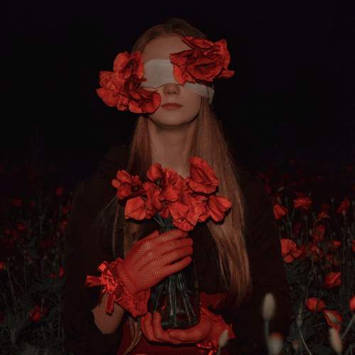 Photo #11974011