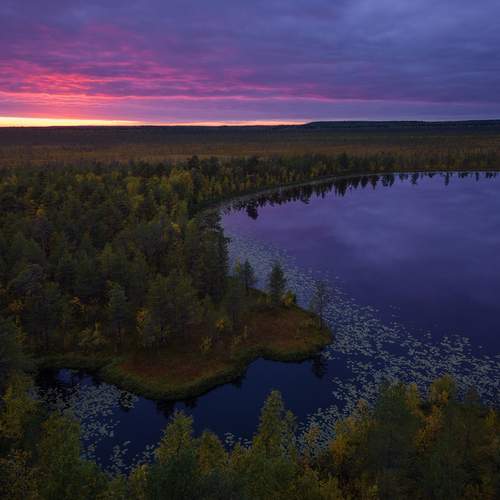 Фотография #11974029