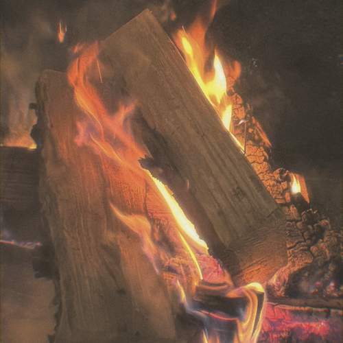 Photo #11974051