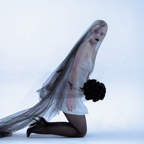 Photo #11974473