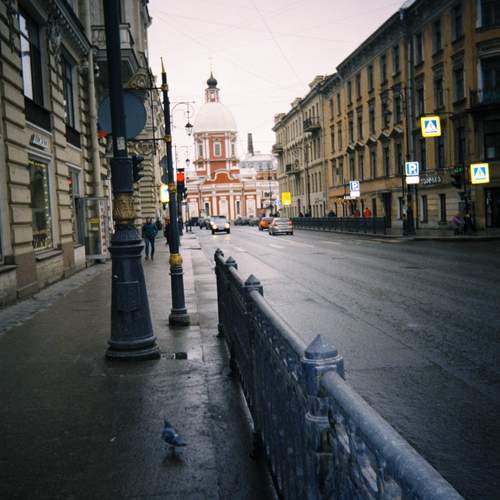 Photo #11974529