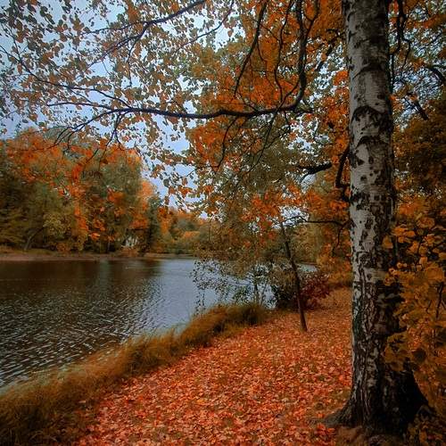 Photo #11974568