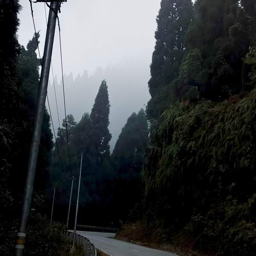 Photo #11974619