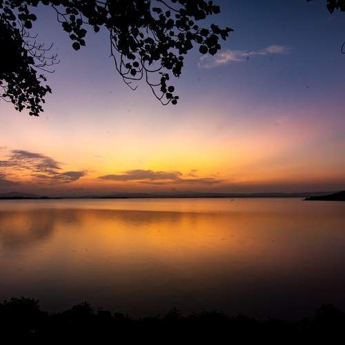 Photo #11974741