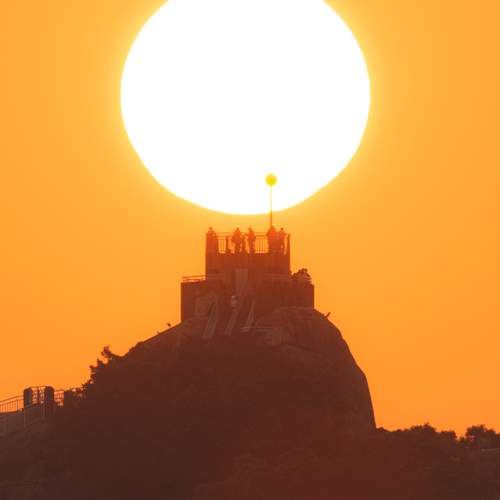 Photo #11974807