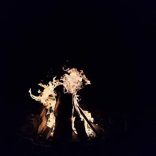 Photo #11974915
