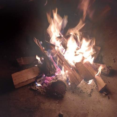 Photo #11974994