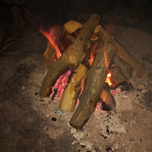 Photo #11974995