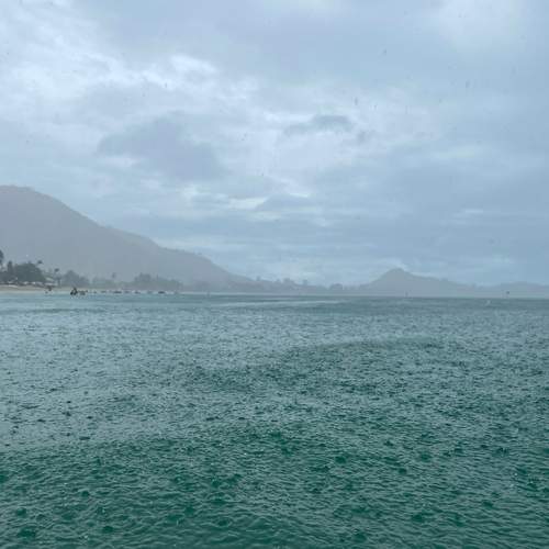 Photo #11975194