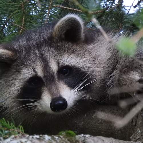 Photo #11975232