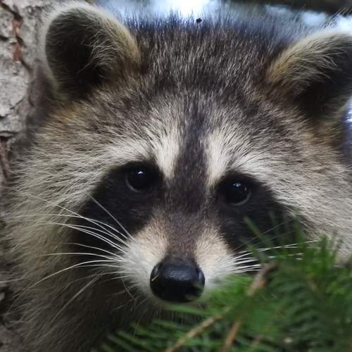 Photo #11975245