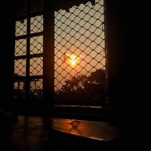 Photo #11975261