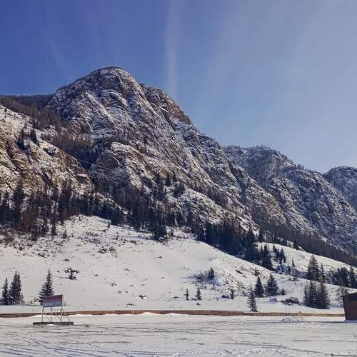 Photo #11975385