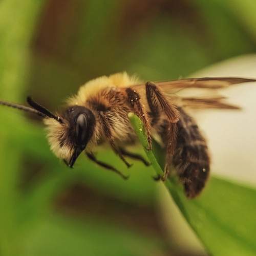 Photo #11975540