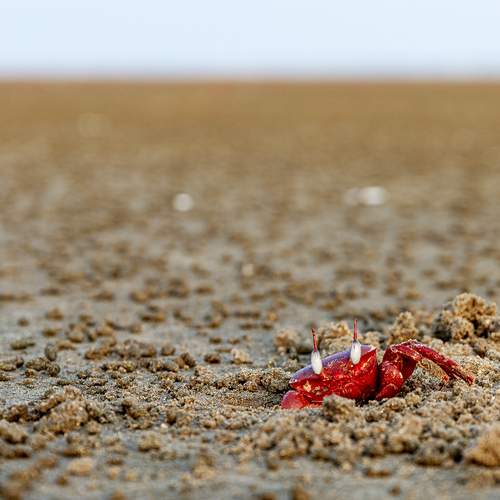 Welcome to my beach