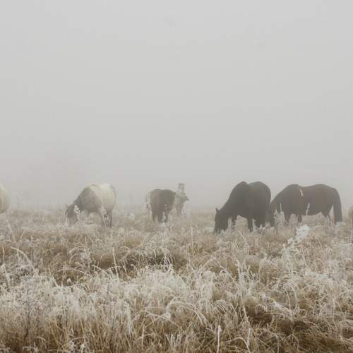 Photo #11975581
