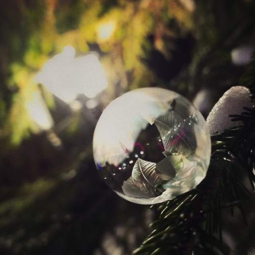 Photo #11975586