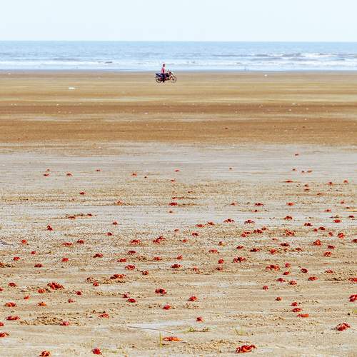 The Red Crab Beach