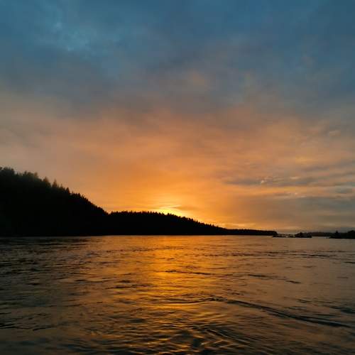 Photo #11975609