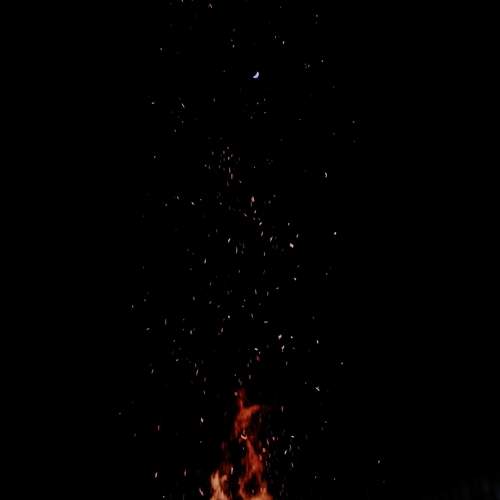 Photo #11975689