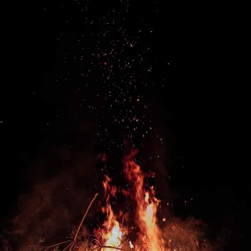 Photo #11975690