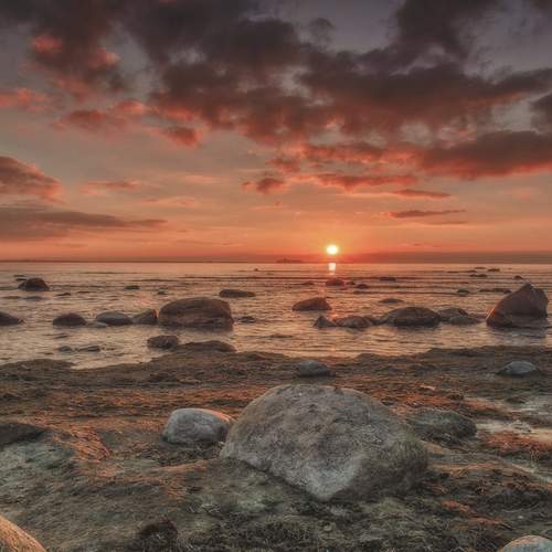 Photo #11975868