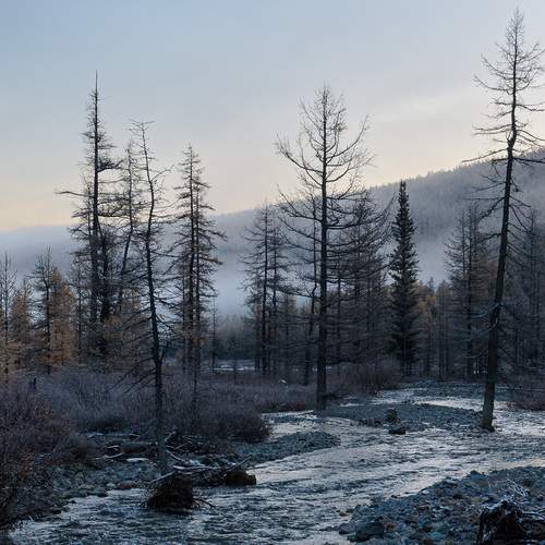 Photo #11976133