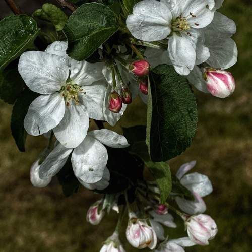 Photo #11976233