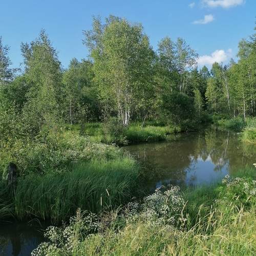 Photo #11976307