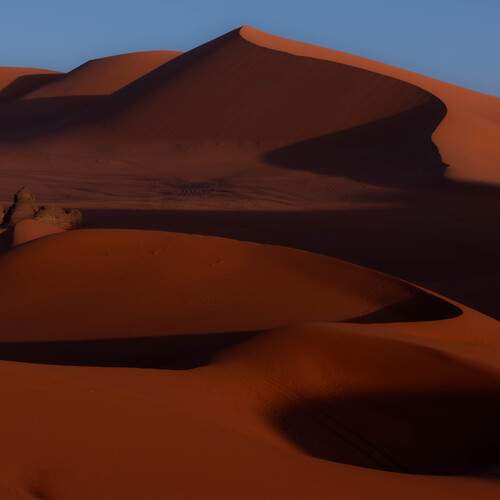 Photo #11976311