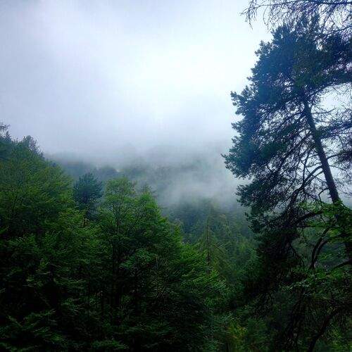 Photo #11976391
