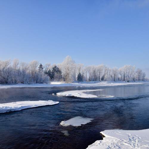Photo #11976500